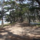 전망좋은펜션 이미지