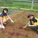 지우농장 이미지