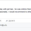 펫드라이브 이미지