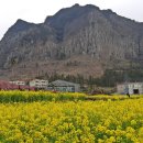 산방산의봄 이미지