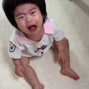원대카플러스 | 위한 내돈내산 씨투엠뉴 에이블 유모카 플러스 트라이크 구매 후기👶🏻(+기내반입 휴대용 유모차, 연년생...