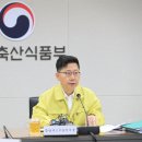 선제농장 계란