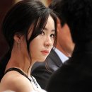 뿌리깊은나무 이미지