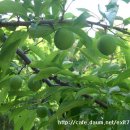 유구농장 이미지