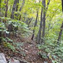 안생달교 이미지