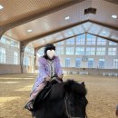 클럽비바 | 홍천 비발디파크 소노펠리체 실버스위트: 4세 7세 아이와 조식, 비바플렉스, 승마클럽 이용 후기