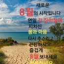 오늘 이미지