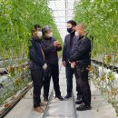 토마토의원 이미지