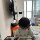 [책육아] 그레이트북스 내친구사회공룡 44개월 이제야 이해하고 잘보는 편 (구매는 24개월^^;) 5세 6...