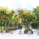 부천중앙공원 이미지