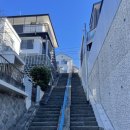 center minami st, 코호쿠 토큐 쇼핑센터/코코이찌방 카레/토요수산 레드 키츠네우동/사토제약 윤커황제