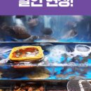 풍성마트 이미지