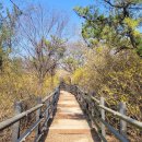 개나리공원3 이미지