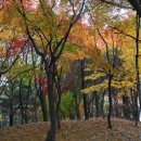 용구대로 이미지