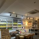 세부 스톤마사지 내돈내산 후기 (플라워트리 / 카카오트리 / 엘스파)