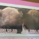 엘스의원 이미지