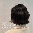 운정역 미용실 프리미엄이가자 돌잔치 앞두고 다녀온 단발 정리 후기