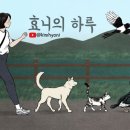 까치세차장 이미지