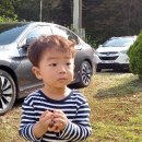 삼촌농장 이미지