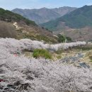 정감농장 이미지