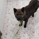 연호역 4번 출구 이미지