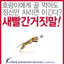 포스터울산 Daum카페