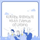 비너스(VENUS)