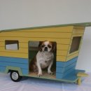 멋진강아지 이미지