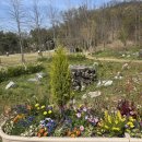 영흥도서관 | [수원]동탄&amp;오산 아기랑 가볼만한곳!! 꼭 가봐야할 수목원 수원영흥수목원