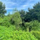 오수보건지소 이미지