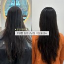 CW메디칼 | W살롱 창원상남점 수분클리닉 모발클리닉 다녀온 후기