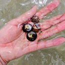 돌섬휴게소 | 아이와 함께하는 제주 가족여행 ｜아이와 평대해변 물놀이 &amp; 아쿠아플라넷 야간개장 후기