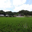 봉암서원(鳳巖書院) 이미지