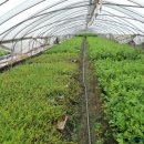 션샤인 하우스 이미지