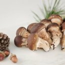 연호농장 이미지