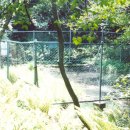 서호동-10 이미지