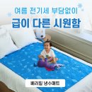 지니침구 - 강서구 등촌로5길 80 | 베러힐 냉수매트 냉온수매트 블루 여름 침구 추천 후기 이렇게 편할 줄이야