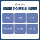 글로리의원 - 제주시 노형9길 1 | 글로리의원