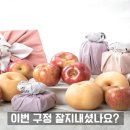 "저걸 누가 쓰냐"며 버린 사람들 후회하게 만든 과일망 활용법 이미지