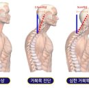 새로워 GYM 네이버블로그