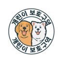 개린이보호구역 이미지