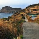 녹산사슴 이미지