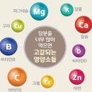 우린네이처 이미지