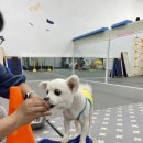 달콤체육관 이미지