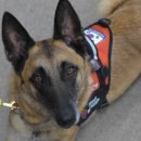 중앙119구조본부 이미지