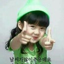 씰즈