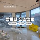 애월의정원 | 제주 애월 밤비니 오감정원 실내체험 촉감놀이 후기