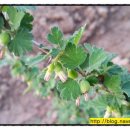 월남농장 이미지