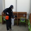 버그프리방역