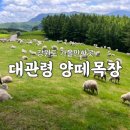 연두목장 이미지